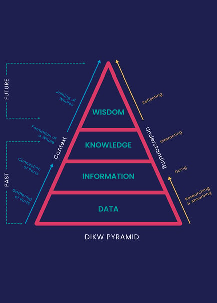 data management model dikw